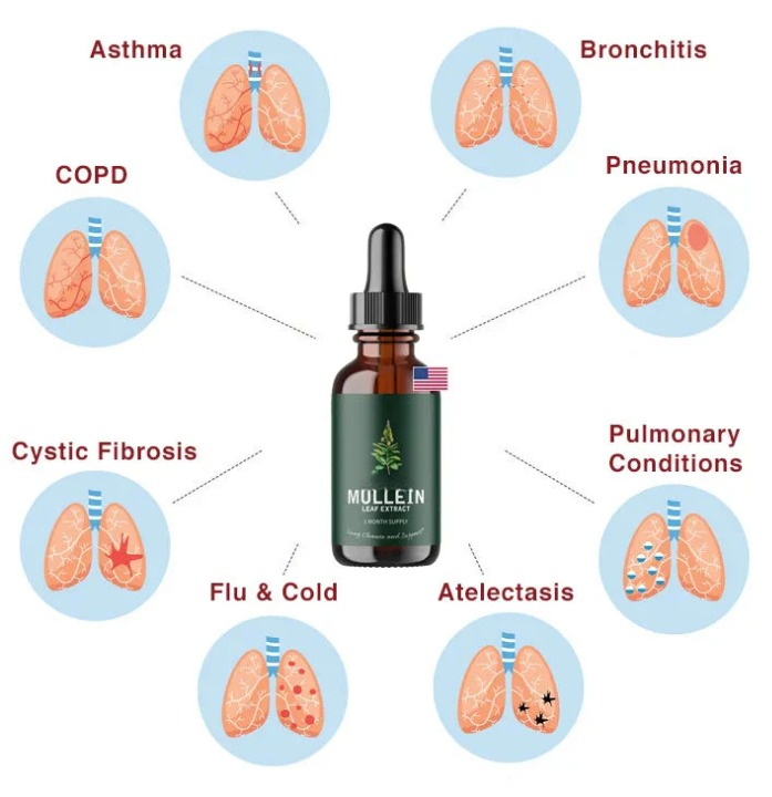 Mullein + Chlorophyll | Clean your lungs - detox lungs naturally